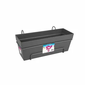 Pušķi Elho Tumši pelēks Plastmasa Taisnstūra 50 cm