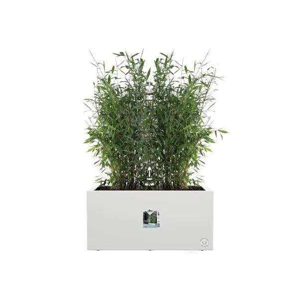 Stiklainis Elho 59 x 30 x 29 cm Balta Plastmasinis Stačiakampis Šiuolaikiškas