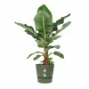 Банка Elho Зеленый Ø 55 cm Пластик