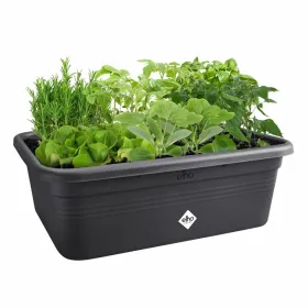 Pušķi Elho 7,4 x 76 x 26,8 cm Melns Plastmasa Kvadrāta