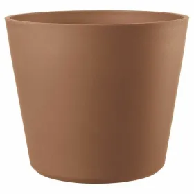 Pušķi Deroma