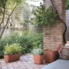 Pušķi Deroma