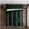 Nordic cover Harry Potter Slytherin Multicolour 175 Threads 240 x 220 cm King size