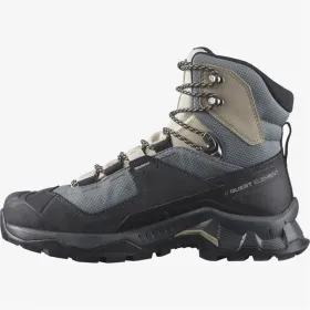 Žygio batai Salomon Quest Element Gore-Tex Pilka
