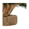 Jaungada eglīte Everlands Zaļš (60 cm)