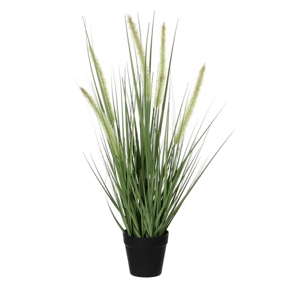 Dekoratyvinis augalas Mica Decorations Dogtail PVC