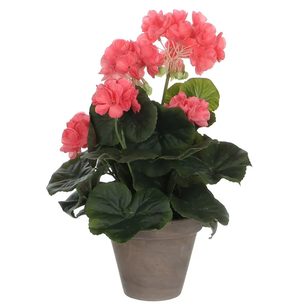 Dekoratīvs Augs Mica Decorations PVC 11,5 x 33 cm