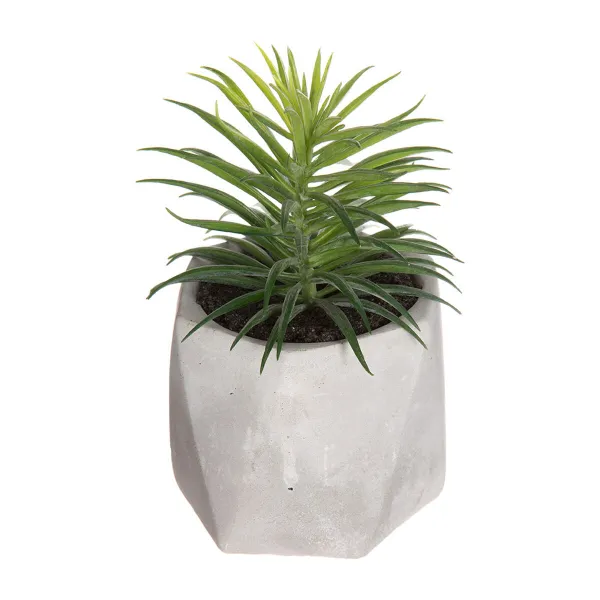 Koristekasvi Atmosphera 7 x 14 cm Vihreä PVC