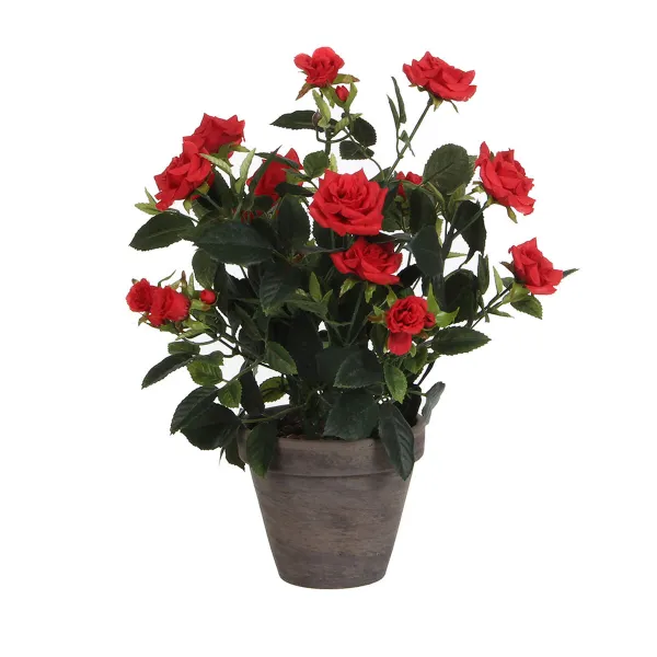 Dekoratīvs Augs Mica Decorations Rosal Keramika PVC