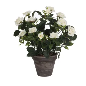 Dekoratīvs Augs Mica Decorations Rosal Keramika PVC