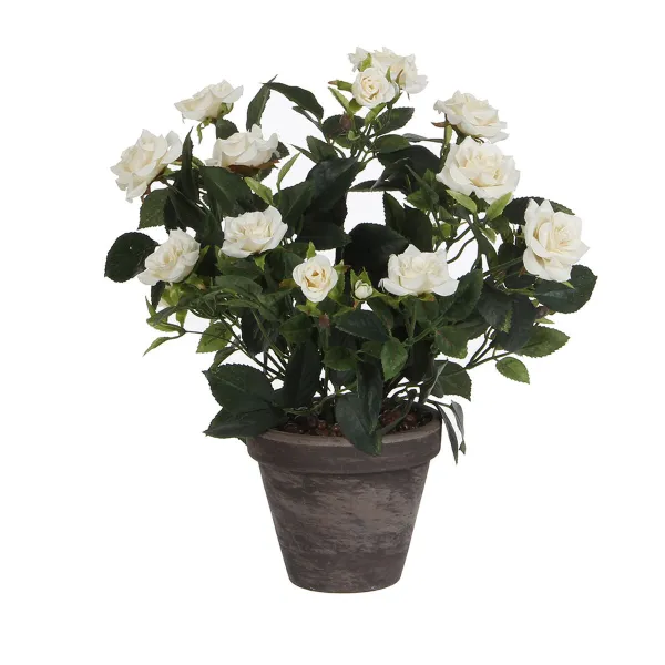 Dekoratīvs Augs Mica Decorations Rosal Keramika PVC