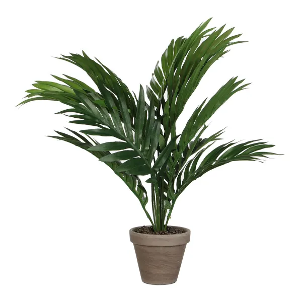 Koristekasvi Mica Decorations 45 x 60 cm Keraminen PVC Palmu