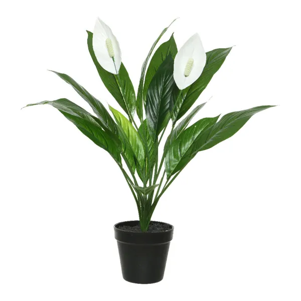 Koristekasvi Mica Decorations Espatifilo PVC