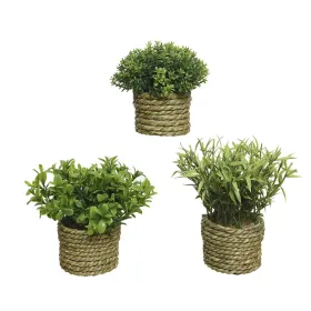 Dekoratīvs Augs Basic Home Mākslīgs Virve Zaļš 16 x 3 cm