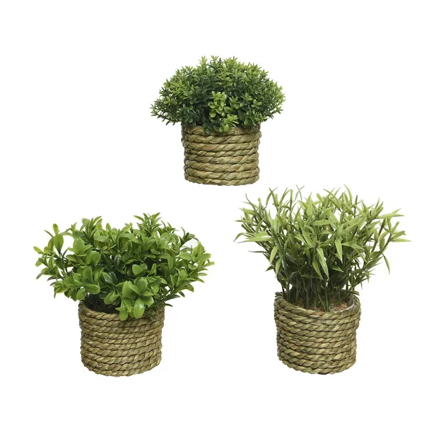 Декоративное растение Basic Home Искусственная Веревка Зеленый 16 x 3 cm