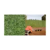 Tekoaita Nortene Greenset (1 x 3 m)