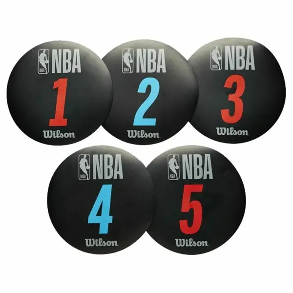 Huopakynä Wilson Training NBA