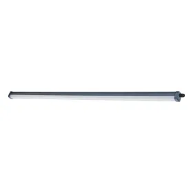 Fluorescējoša caurule Philips 911401865884