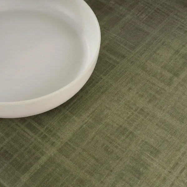 Stain-proof tablecloth Belum Liso Olive 250 x 150 cm