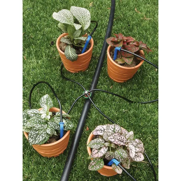 Watering Can Aqua Control polypropylene