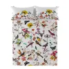 Top sheet HappyFriday Birds of paradise Multicolour 260 x 270 cm