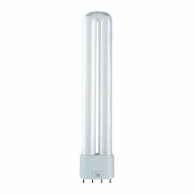 Matalaenergiapolttimo Patron 36 W G11 4000 K