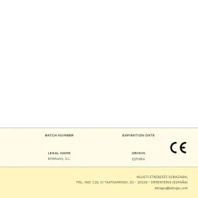 Gas Regulator