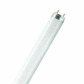 Fluorescent pipe Osram 18 W T8 1300 lm (6500 K)