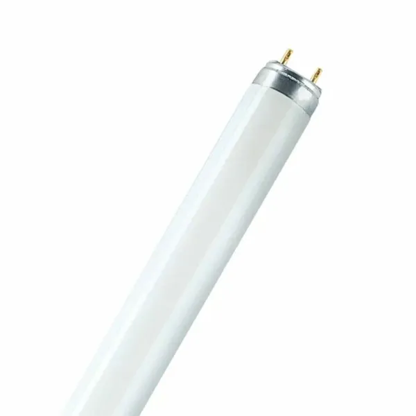 Fluorescent pipe Osram 18 W T8 1300 lm (6500 K)