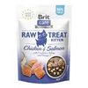 Snack for Cats Brit Care Raw Treat Chicken 40 g