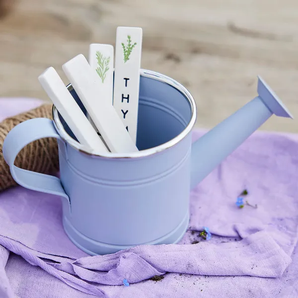 dekoratīvā laistīšanas kanna Decoris Dažādas krāsas Cinks