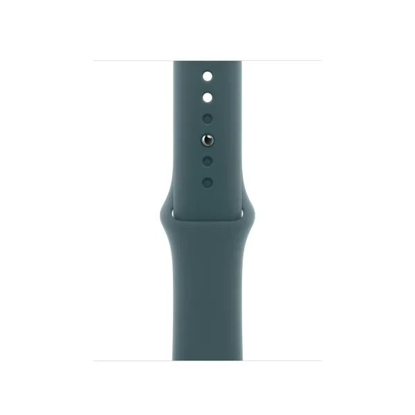 Watch Strap Apple Q601-0DX
