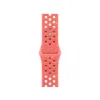 Watch Strap Apple MC2K4ZM/A
