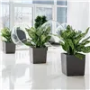 Self-watering flowerpot Lechuza White 50 x 50 cm polypropylene Plastic