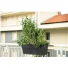 Plant pot Deroma 49 cm