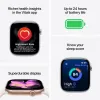 Smartwatch Apple Titanium