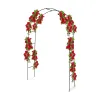 Sodo arka Kinzo 240 x 140 cm Metalinis Rožių