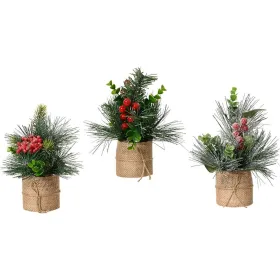 Декоративное растение Everlands Рождество 20 x 15 cm (3 штук)