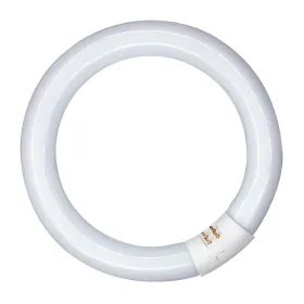 Fluoresoiva putki Patron 40 W G10Q Valkoinen (6500 K)