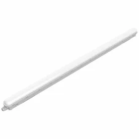 Apatiniai komplektai René Rofé Juoda (M/L)