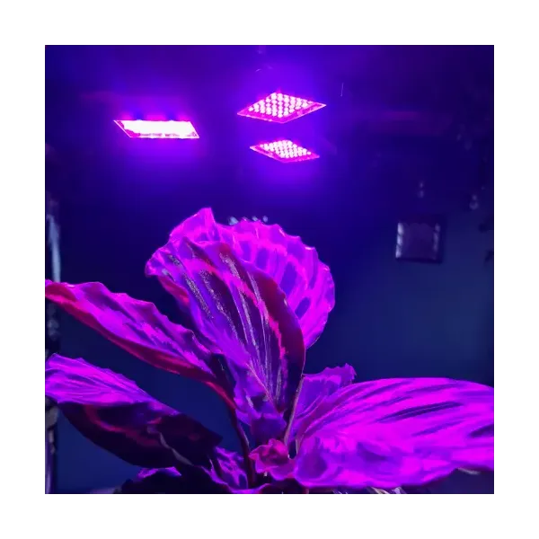 108 LED taimekasvulampi Gardlov 20440