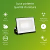 Užtvindanti šviesa / projektoriaus šviesa Philips Juoda 10 W 950 Lm F