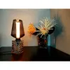 LED lemputė Fbright s135 Gintaras 4 W E27 200 Lm Ø 13,5 x 22,5 cm Dekoratyvinis (1800 K)