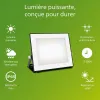 Užtvindanti šviesa / projektoriaus šviesa Philips Juoda 30 W F (5000 K)