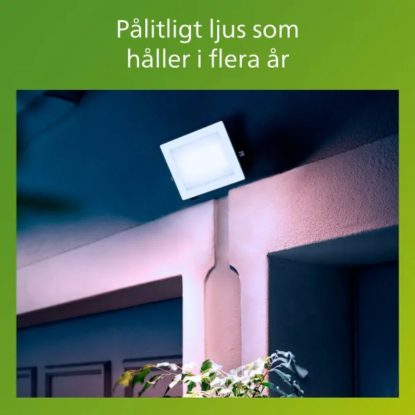 Užtvindanti šviesa / projektoriaus šviesa Philips Juoda 30 W F (5000 K)