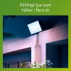 Užtvindanti šviesa / projektoriaus šviesa Philips Juoda 30 W F (5000 K)