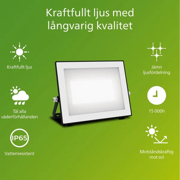 Užtvindanti šviesa / projektoriaus šviesa Philips Juoda 50 W F