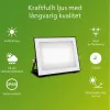Užtvindanti šviesa / projektoriaus šviesa Philips Juoda 50 W F