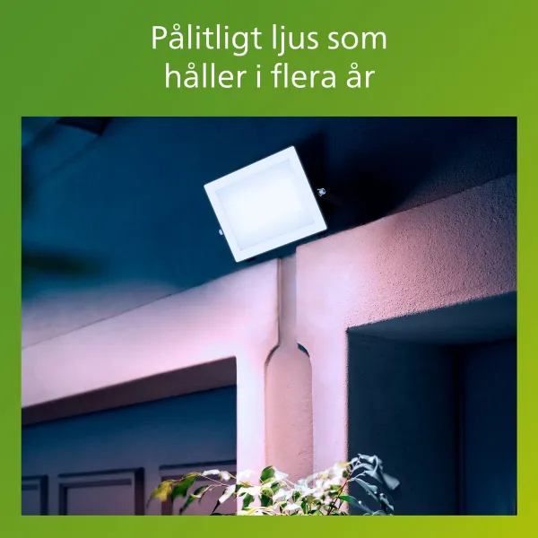 Užtvindanti šviesa / projektoriaus šviesa Philips Juoda 50 W F