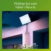 Užtvindanti šviesa / projektoriaus šviesa Philips Juoda 50 W F